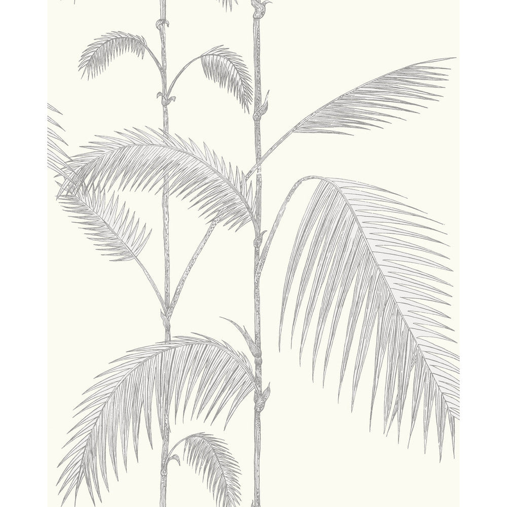 Palm Leaves Grey/White by Cole & Son Wallcovering CONTEMPORARY RESTYLED PAPER - 100% United Kingdom Horizontal: 20.5 and Vertical: 28.3 20.5 - Fabric Carolina -