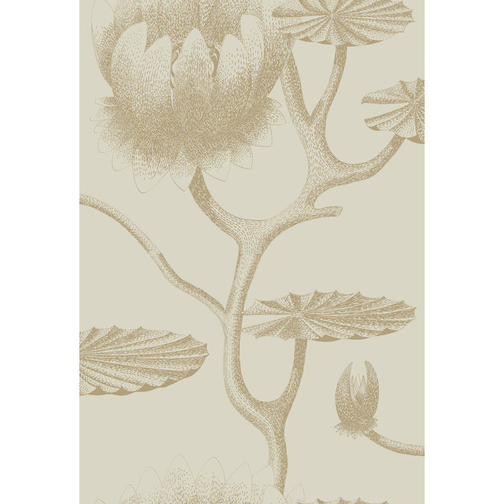 Lily Linen/Gold by Cole & Son Wallcovering Cole & Son Wallcovering Lily Linen/GoldWallcovering CONTEMPORARY RESTYLED PAPER - 100% United Kingdom </p><p>Repeat: H: 20.5, V: 30 20.5 - Fabric Carolina -