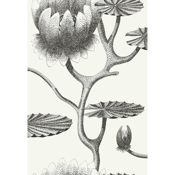 Lily Black/White by Cole & Son Designer Wallcovering CONTEMPORARY RESTYLED PAPER - 100% United Kingdom Horizontal: 20.5 and Vertical: 30 20.5 - Swanky Fabrics -