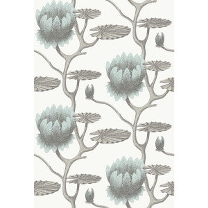 Summer Lily Aqua/White by Cole & Son Wallcovering