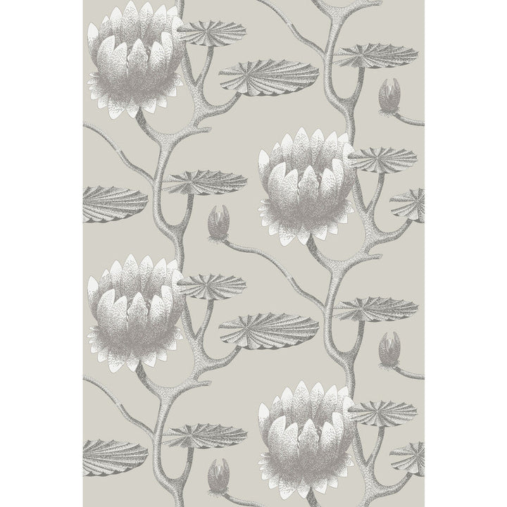 Summer Lily Taupe/White by Cole & Son Wallcovering Cole & Son Wallcovering Summer Lily Taupe/WhiteWallcovering CONTEMPORARY RESTYLED PAPER - 100% United Kingdom </p><p>Repeat: H: 27, V: 19.75 27 - Fabric Carolina -