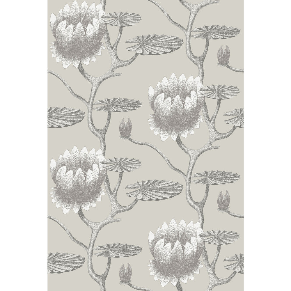 Summer Lily Taupe/White by Cole & Son Wallcovering CONTEMPORARY RESTYLED PAPER - 100% United Kingdom - Horizontal: 27 and Vertical: 19.75 27 - Fabric Carolina -