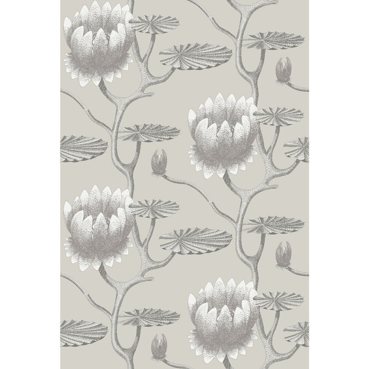 Summer Lily Taupe/White by Cole & Son Wallcovering CONTEMPORARY RESTYLED PAPER - 100% United Kingdom Horizontal: 27 and Vertical: 19.75 27 - Fabric Carolina -