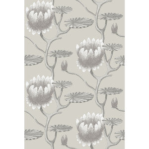 Summer Lily Taupe/White by Cole & Son Wallcovering