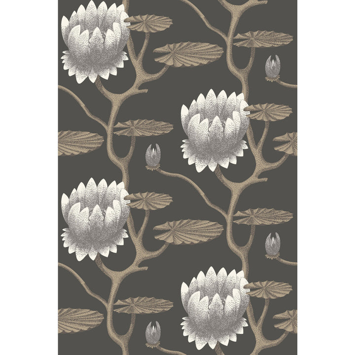 Summer Lily Blk/Wht/Gold by Cole & Son Wallcovering CONTEMPORARY RESTYLED PAPER - 100% United Kingdom Horizontal: 27 and Vertical: 19.75 27 - Fabric Carolina -