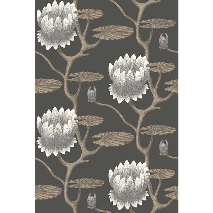 Summer Lily Blk/Wht/Gold by Cole & Son Designer Wallcovering CONTEMPORARY RESTYLED PAPER - 100% United Kingdom - Horizontal: 27 and Vertical: 19.75 27 - Swanky Fabrics -