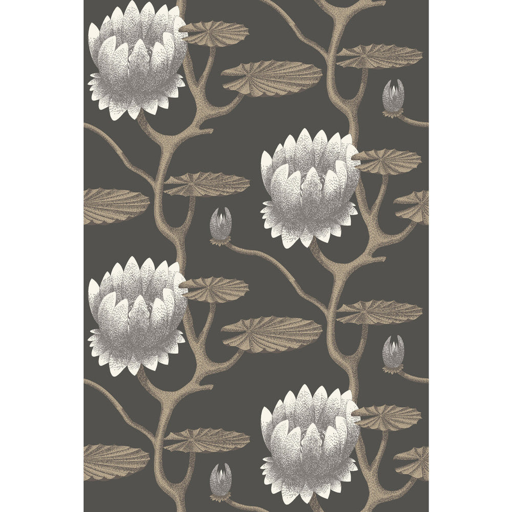 Summer Lily Blk/Wht/Gold by Cole & Son Wallcovering CONTEMPORARY RESTYLED PAPER - 100% United Kingdom - Horizontal: 27 and Vertical: 19.75 27 - Fabric Carolina -
