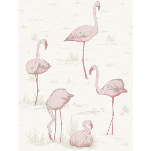 Flamingos Pink/White by Cole & Son Wallcovering