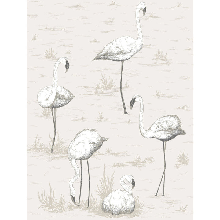 Flamingos Charcoal/Wht by Cole & Son Wallcovering Cole & Son Wallcovering Flamingos Charcoal/WhtWallcovering CONTEMPORARY RESTYLED PAPER - 100% United Kingdom </p><p>Repeat: H: 21, V: 27.5 21 - Fabric Carolina -