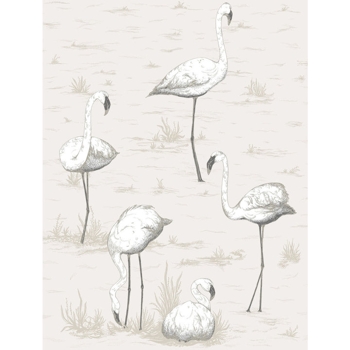 Flamingos Charcoal/Wht by Cole & Son Wallcovering CONTEMPORARY RESTYLED PAPER - 100% United Kingdom - Horizontal: 21 and Vertical: 27.5 21 - Fabric Carolina -