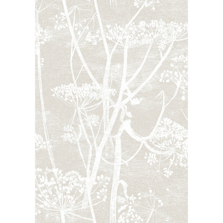 Cow Parsley Linen/White by Cole & Son Wallcovering CONTEMPORARY RESTYLED PAPER - 100% United Kingdom - Horizontal: 21 and Vertical: 30 21 - Fabric Carolina -