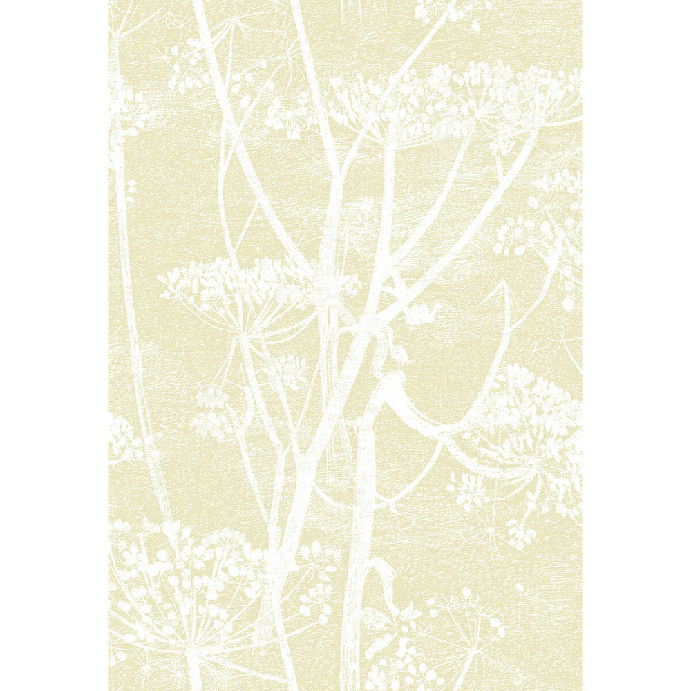 Cow Parsley Straw/White by Cole & Son Wallcovering CONTEMPORARY RESTYLED PAPER - 100% United Kingdom - Horizontal: 21 and Vertical: 30 21 - Fabric Carolina -