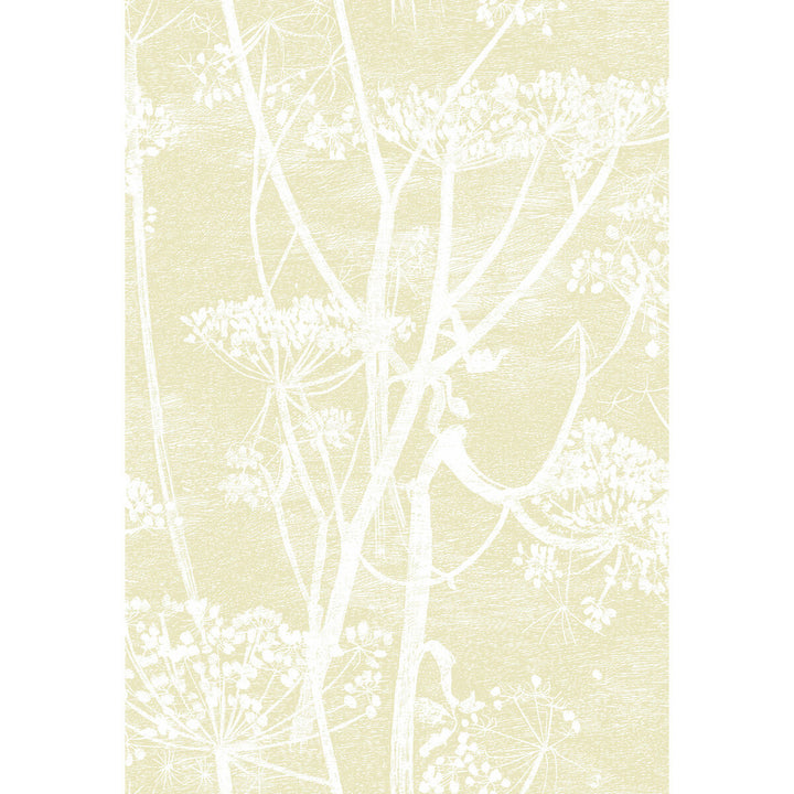 Cow Parsley Straw/White by Cole & Son Wallcovering CONTEMPORARY RESTYLED PAPER - 100% United Kingdom - Horizontal: 21 and Vertical: 30 21 - Fabric Carolina -