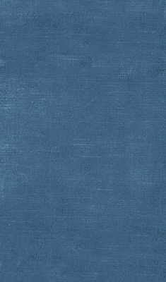 Queen Victoria Wedgewo by Lee Jofa Fabric - RAYON - 49%;COTTON - 42%;POLYESTER - 9% United States HEAVY Horizontal: 0 and Vertical: 0 54 - Fabric Carolina -