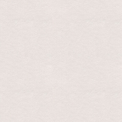 960122.1000.0 by Lee Jofa Fabric Lee Jofa Fabric 960122.1000.0Fabric ULTIMATE SUEDE RECYCLED POLYESTER - 80%;POLYURETHANE - 20% Japan </p><p>Repeat: H: , V: 55 - Fabric Carolina -