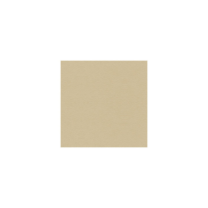 Ultimate Bisque by Lee Jofa Fabric ULTIMATE SUEDE RECYCLED POLYESTER - 80%;POLYURETHANE - 20% Japan HEAVY Horizontal: and Vertical: 55 - Fabric Carolina -