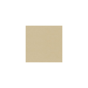 Ultimate Bisque by Lee Jofa Fabric