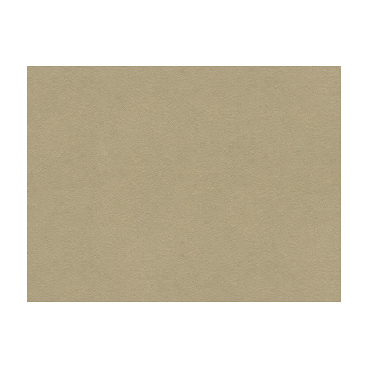Ultimate Pebble by Lee Jofa Fabric ULTIMATE SUEDE RECYCLED POLYESTER - 80%;POLYURETHANE - 20% Japan HEAVY Horizontal: and Vertical: 55 - Fabric Carolina -