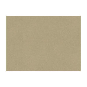 Ultimate Pebble by Lee Jofa Fabric