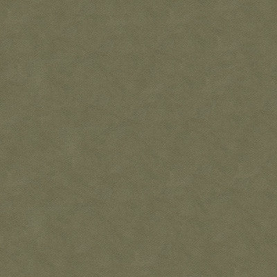 Ultimate Mink by Lee Jofa Fabric