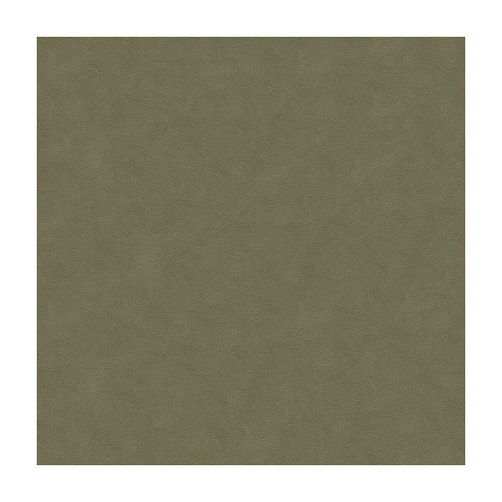 Ultimate Mink by Lee Jofa Fabric ULTIMATE SUEDE RECYCLED POLYESTER - 80%;POLYURETHANE - 20% Japan HEAVY Horizontal: and Vertical: 55 - Fabric Carolina -