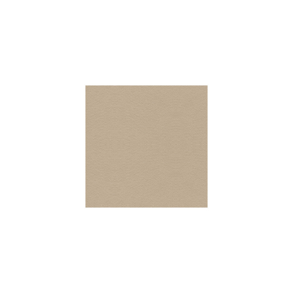 Ultimate Taupe by Lee Jofa Fabric ULTIMATE SUEDE RECYCLED POLYESTER - 80%;POLYURETHANE - 20% Japan HEAVY Horizontal: - and Vertical: - 55 - Fabric Carolina -