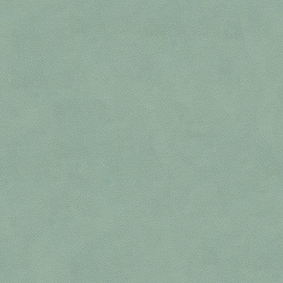 Ultimate Celadon by Lee Jofa Fabric