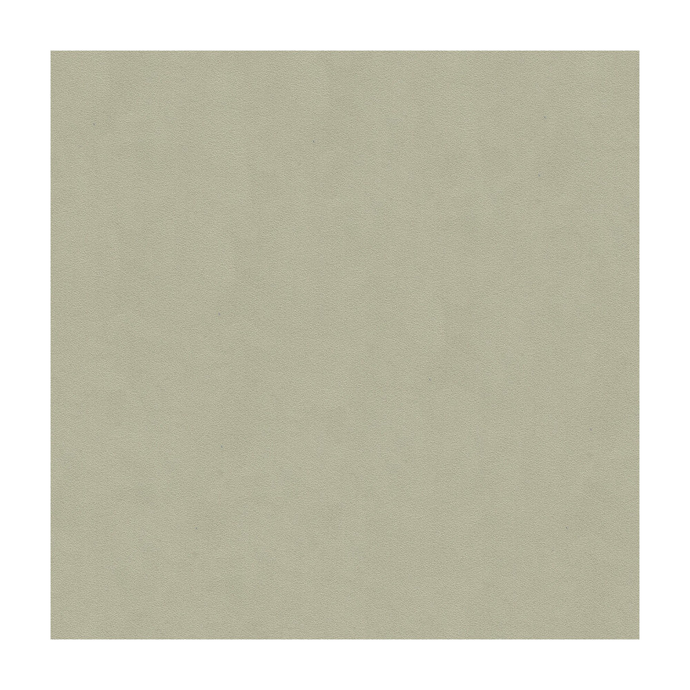 Ultimate Ash Grey by Lee Jofa Fabric ULTIMATE SUEDE RECYCLED POLYESTER - 80%;POLYURETHANE - 20% Japan HEAVY Horizontal: and Vertical: 55 - Fabric Carolina -