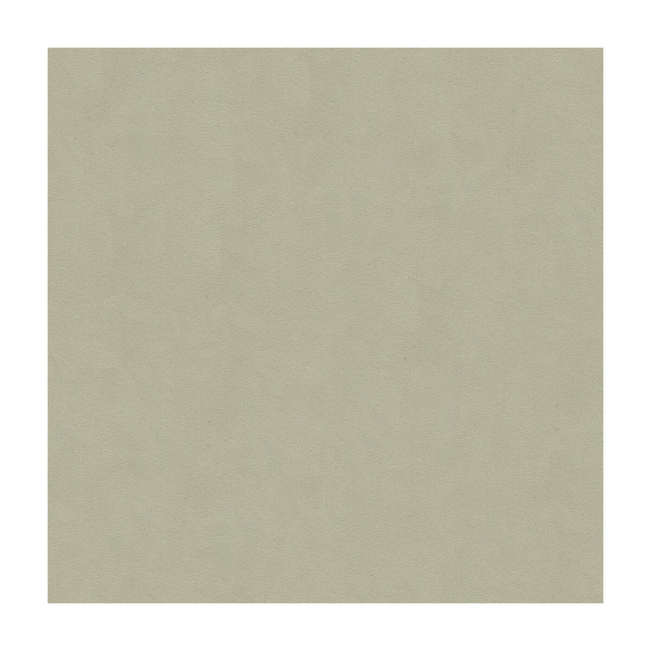 Ultimate Ash Grey by Lee Jofa Fabric ULTIMATE SUEDE RECYCLED POLYESTER - 80%;POLYURETHANE - 20% Japan HEAVY Horizontal: - and Vertical: - 55 - Fabric Carolina -