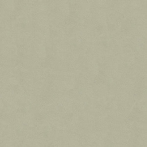 Ultimate Ash Grey by Lee Jofa Fabric