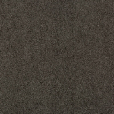 Ultimate Fossil by Lee Jofa Fabric