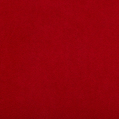 Ultimate Ladybug by Lee Jofa Fabric