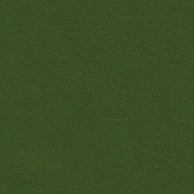 Ultimate Bottle by Lee Jofa Fabric