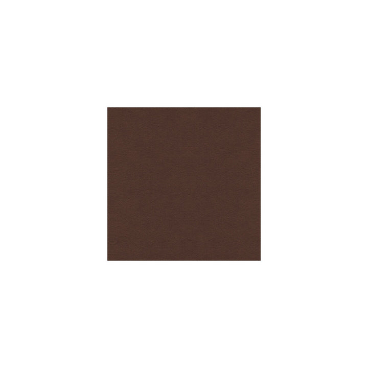 Ultimate Brandy by Lee Jofa Fabric ULTIMATE SUEDE RECYCLED POLYESTER - 80%;POLYURETHANE - 20% Japan HEAVY Horizontal: - and Vertical: - 55 - Fabric Carolina -