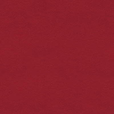 Ultimate Poppy by Lee Jofa Fabric