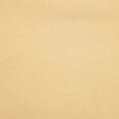 Sensuede Beach by Lee Jofa Fabric Lee Jofa Fabric Sensuede BeachFabric POLYESTER - 88%;POLYURETHANE - 12% Japan </p><p>Repeat: H: 0, V: 0 56 - Fabric Carolina -