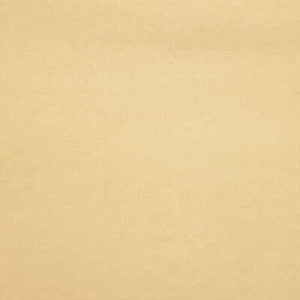Sensuede Beach by Lee Jofa Fabric