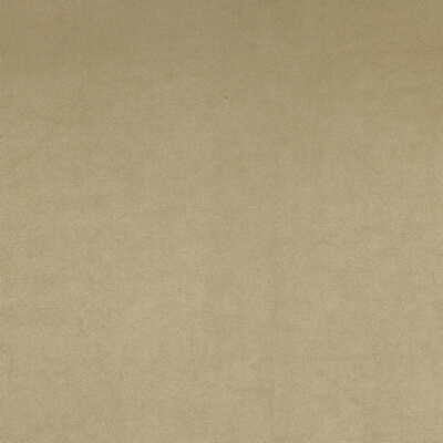 Sensuede Wheat by Lee Jofa Fabric - POLYESTER - 88%;POLYURETHANE - 12% Japan HEAVY Horizontal: 0 and Vertical: 0 56 - Fabric Carolina -