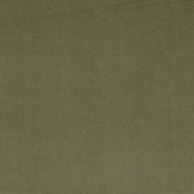Sensuede Parsley by Lee Jofa Fabric Lee Jofa Fabric Sensuede ParsleyFabric POLYESTER - 88%;POLYURETHANE - 12% Japan </p><p>Repeat: H: 0, V: 0 56 - Fabric Carolina -