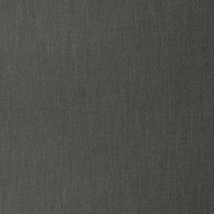 Smart Move Pewter by RM CoCo Fabric