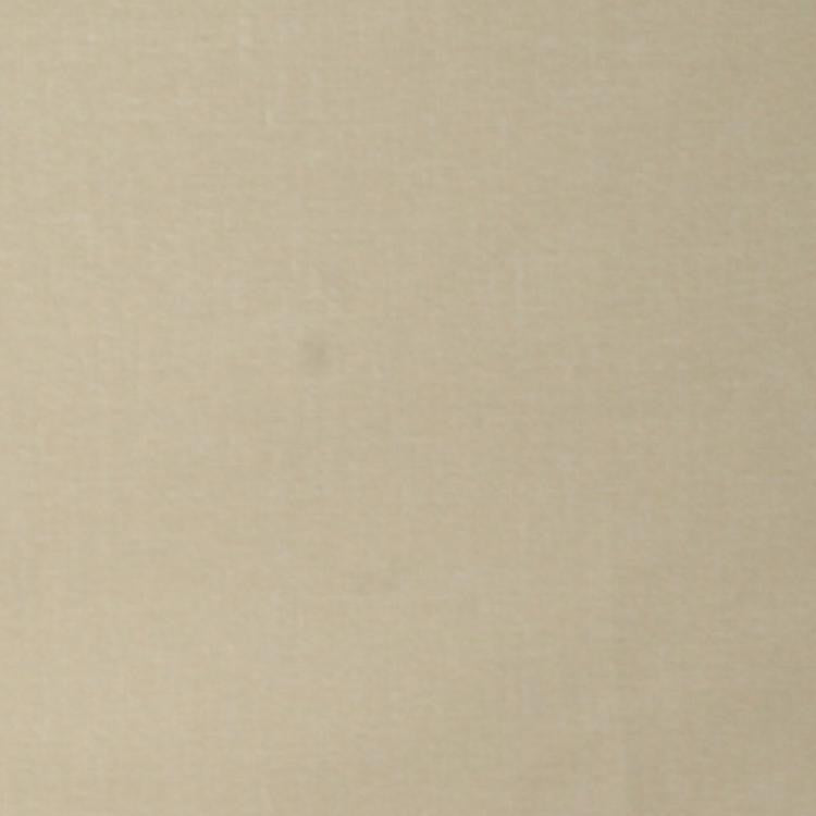 Smart Move Chino by RM CoCo Fabric