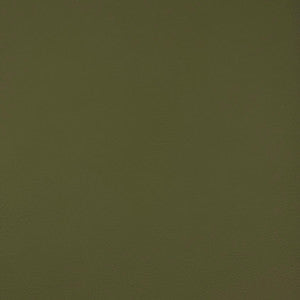 Arcadia Aloe by Europatex Fabric