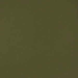 Arcadia Aloe by Europatex Fabric