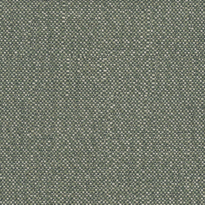 Savane Swamp SAVJ449 by Sunbrella European Fabric Sunbrella® Acrylic, Sunbrella® Polyester Horizontal: and Vertical: 55 in. - Fabric Carolina -