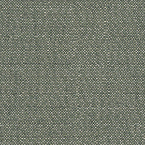 Savane Swamp SAVJ449 by Sunbrella European Fabric