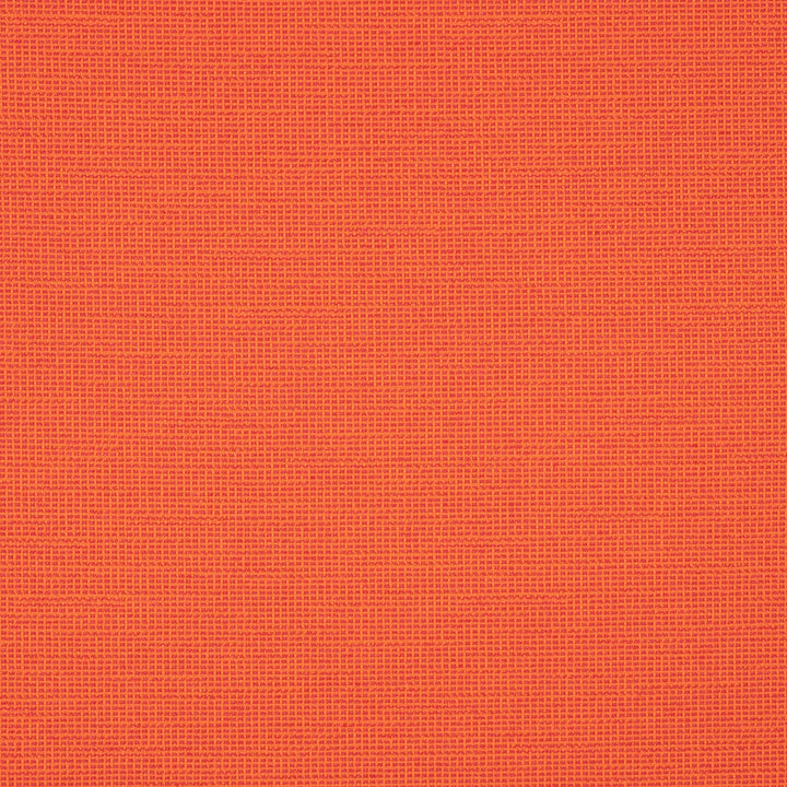 87005-0012 Rally Flame by Sunbrella Fabric Sunbrella Transcend Sunbrella® Acrylic, Sunbrella® Polyester USA or Imported 5-Year Horizontal: and Vertical: 55 yd. 54 in. - Fabric Carolina -