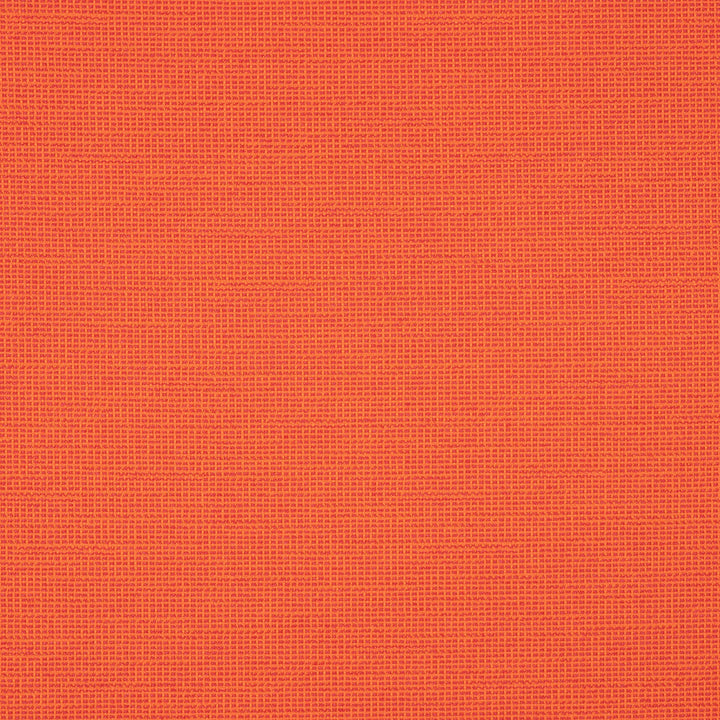 87005-0012 Rally Flame by Sunbrella Fabric Sunbrella Transcend Sunbrella® Acrylic, Sunbrella® Polyester USA or Imported 5-Year Horizontal: and Vertical: 55 yd. 54 in. - Fabric Carolina -