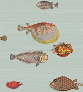 Acquario Pal Bl & Mlt by Cole & Son Wallcovering