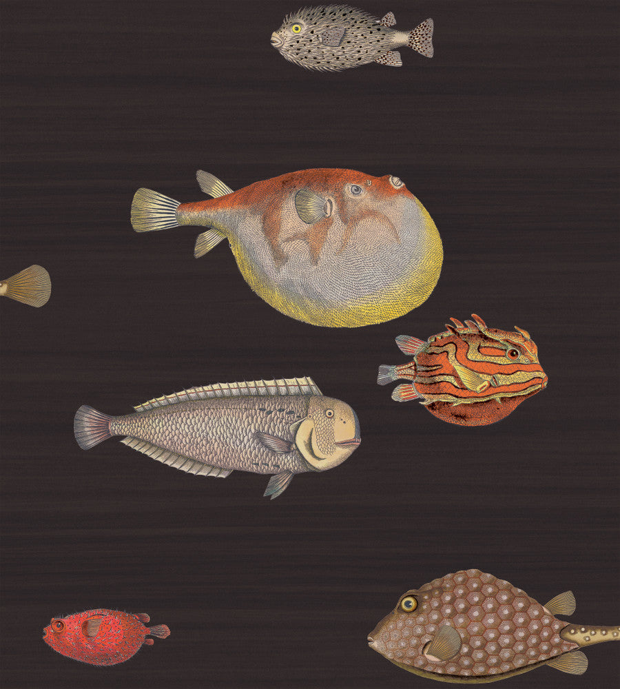 Acquario Black & Mult by Cole & Son Wallcovering