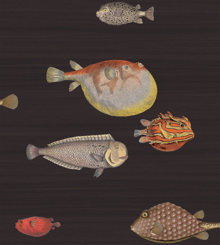 Acquario Black & Mult by Cole & Son Wallcovering